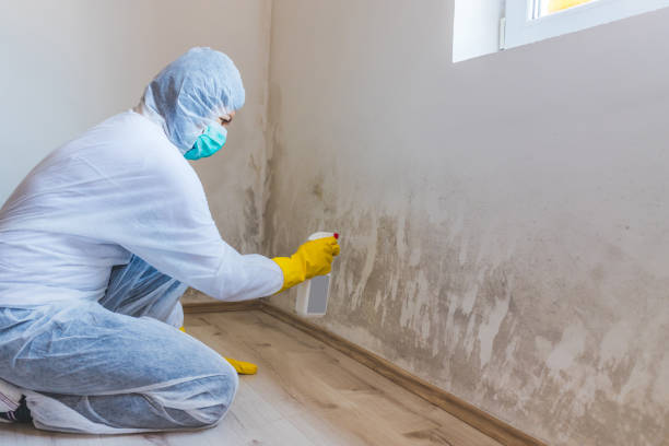 Black mold inspection in Garysburg