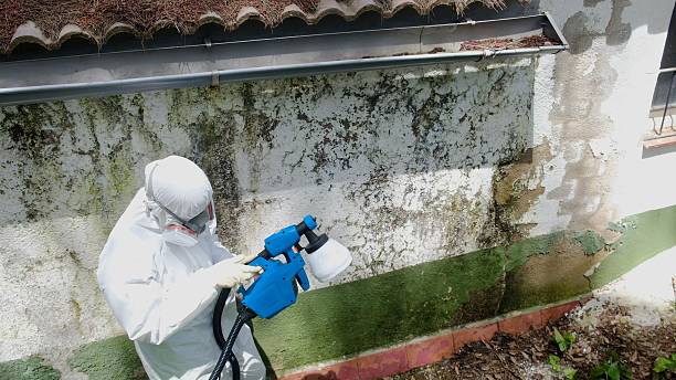 Mold Removal service in Garysburg